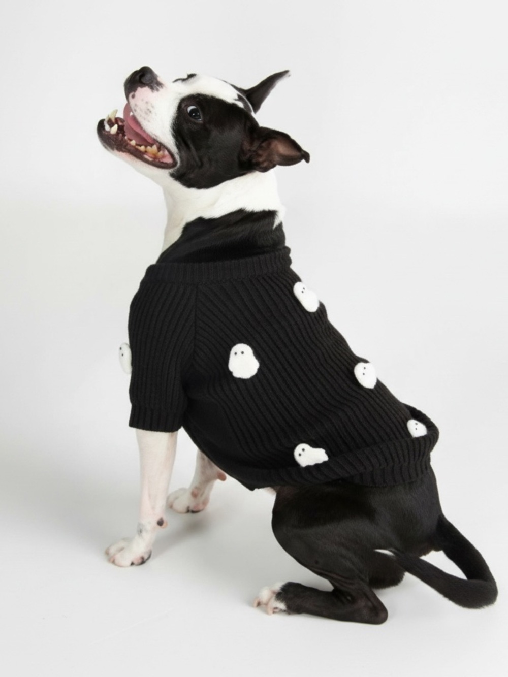 Anthropologie x Found My Animal Ghost Dog Sweater Black Large NWT Halloween